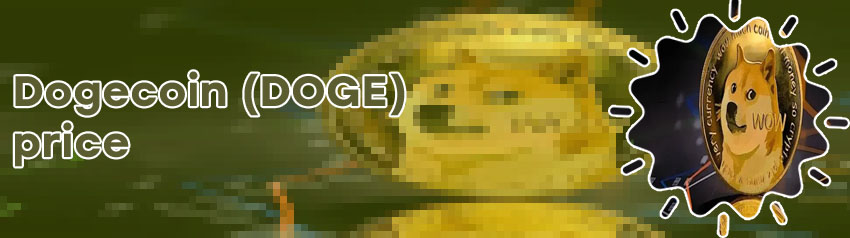 Dogecoin live
